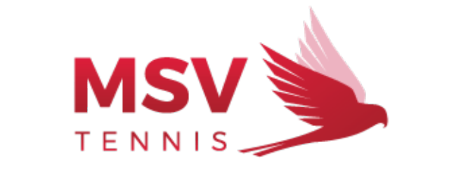 MSV